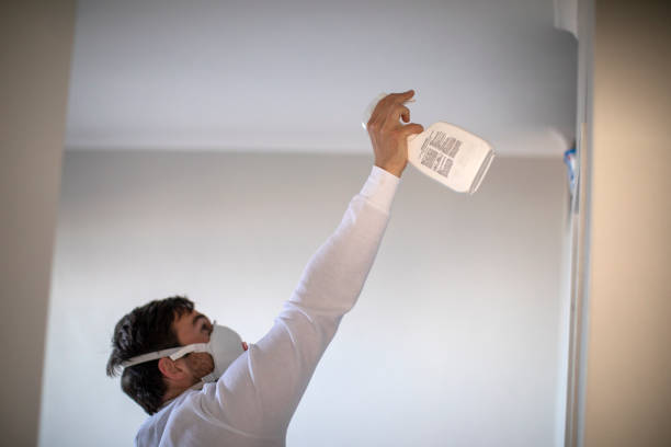 Best Mold Removal Company Near Me  in Napa, CA