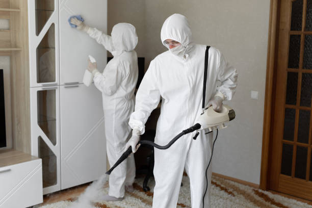 Best Toxic Mold Removal  in Napa, CA