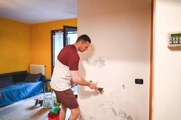 Best Residential Mold Removal  in Napa, CA