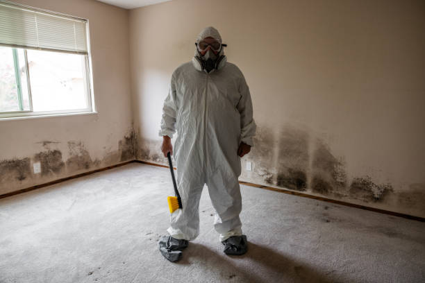Best Fast Mold Removal  in Napa, CA